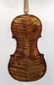 Nicol Bianchi: Violin 1857 - Back