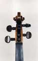 Nicol Bianchi: Violin 1857 - Head front