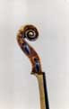 Nicol Bianchi: Violin 1857 - Head side