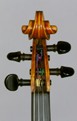 Erminio Motefiori: violin 1892 - head