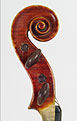 Cesare Candi 1901 - Head side