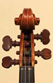 DeBarbieri 1930 - Head