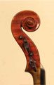 DeBarbieri 1930 - Head side