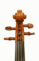 Paolo DeBarbieri 1941 - Head