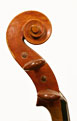 Paolo DeBarbieri 1941 - Head