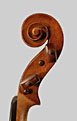 Giovanni Battista Gaibisso 1948 - Head