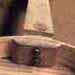 Back, sides and neck with the nails in evidence